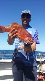 Nice sized coral trout, this one will be going straight in the frying pan!
