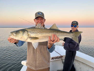 Tons of action! My favorite time of year