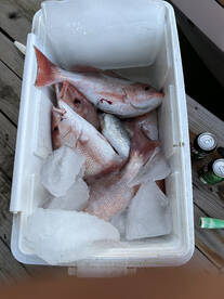 Port Isabel Report Photo 2