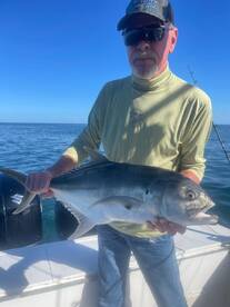 Huge variety of species today!