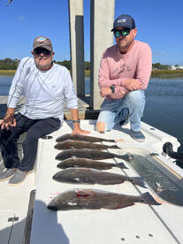 October reddrum bite