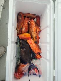 Punta Cana Report Photo 2