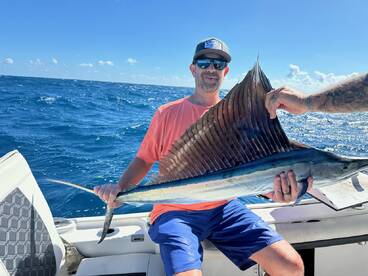Early sailfish 