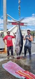 Big tuna bay of islands 