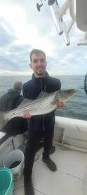 JUMBO STRIPERs