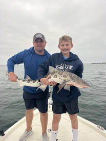 San Diego Bay Fishing Great!