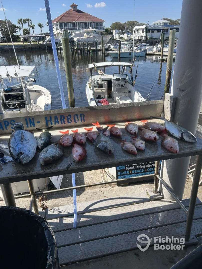 St. Augustine Report Photo 0