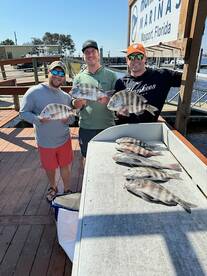 Jacksonville Report Photo 2