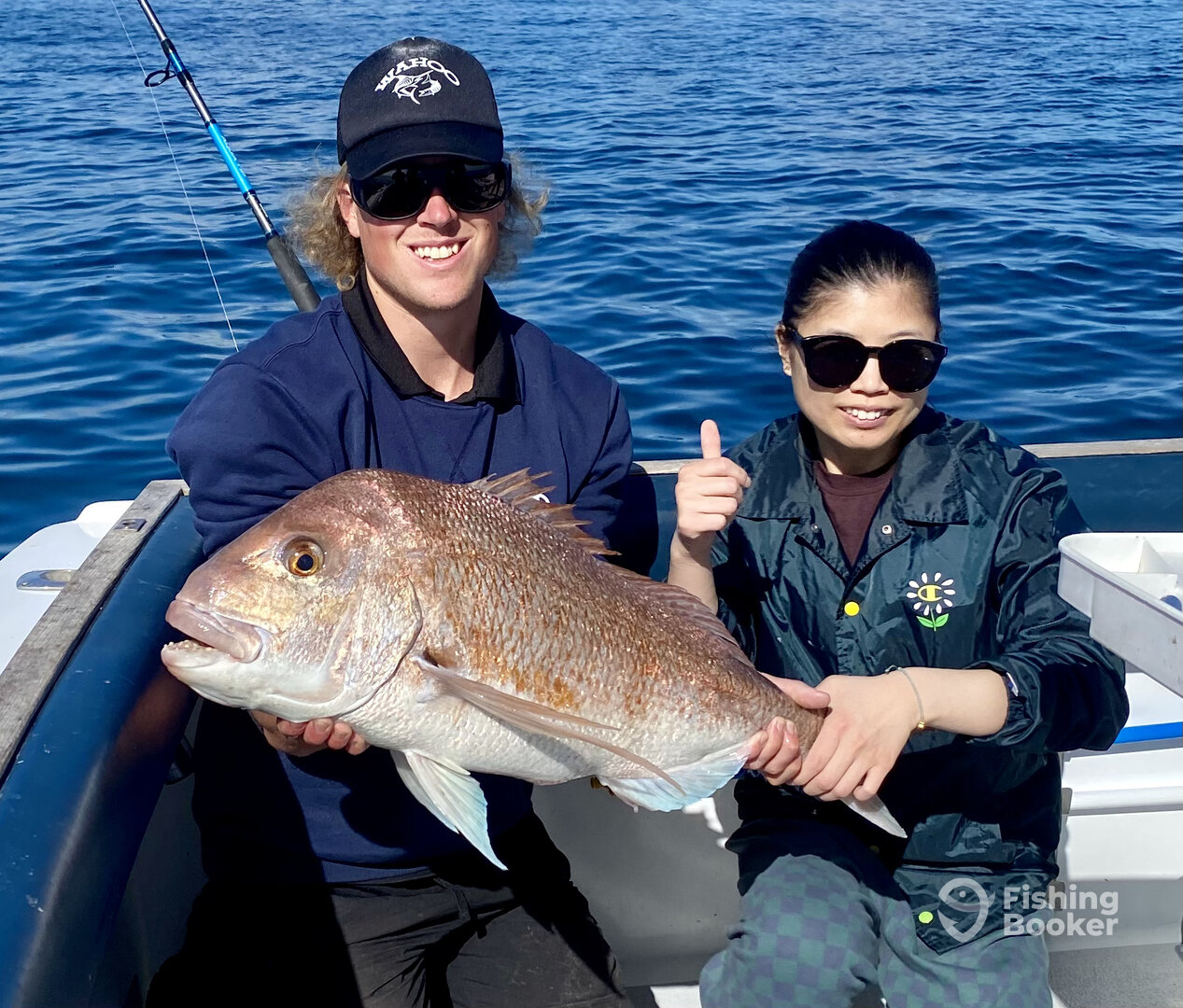 Paihia Report Photo 0