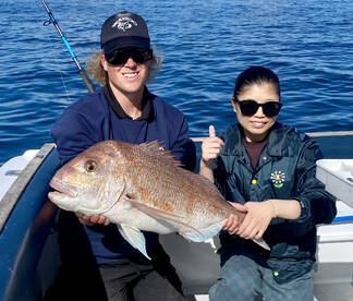 Big Snapper