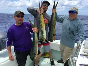 Key Largo Report Photo 2