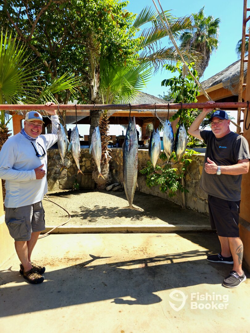 San Jose del Cabo Report Photo 0