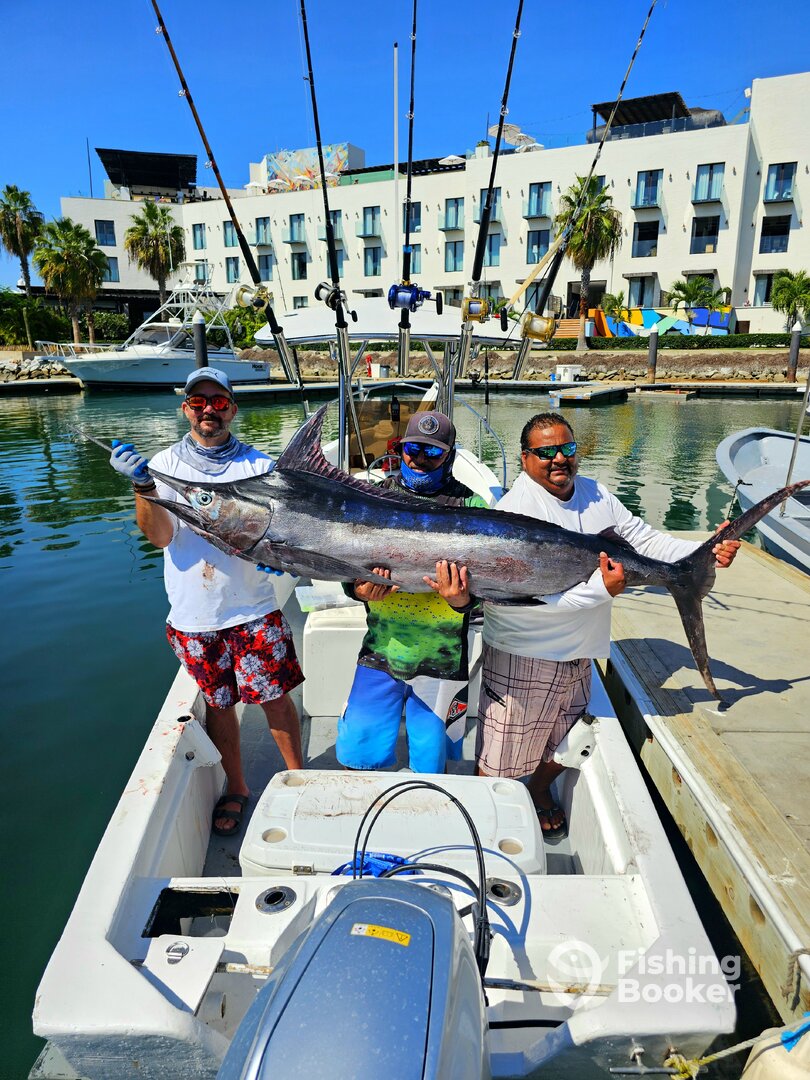 San Jose del Cabo Report Photo 0