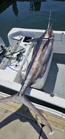 San Jose del Cabo Report Photo 2