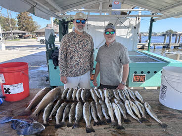 Barataria Report Photo 2
