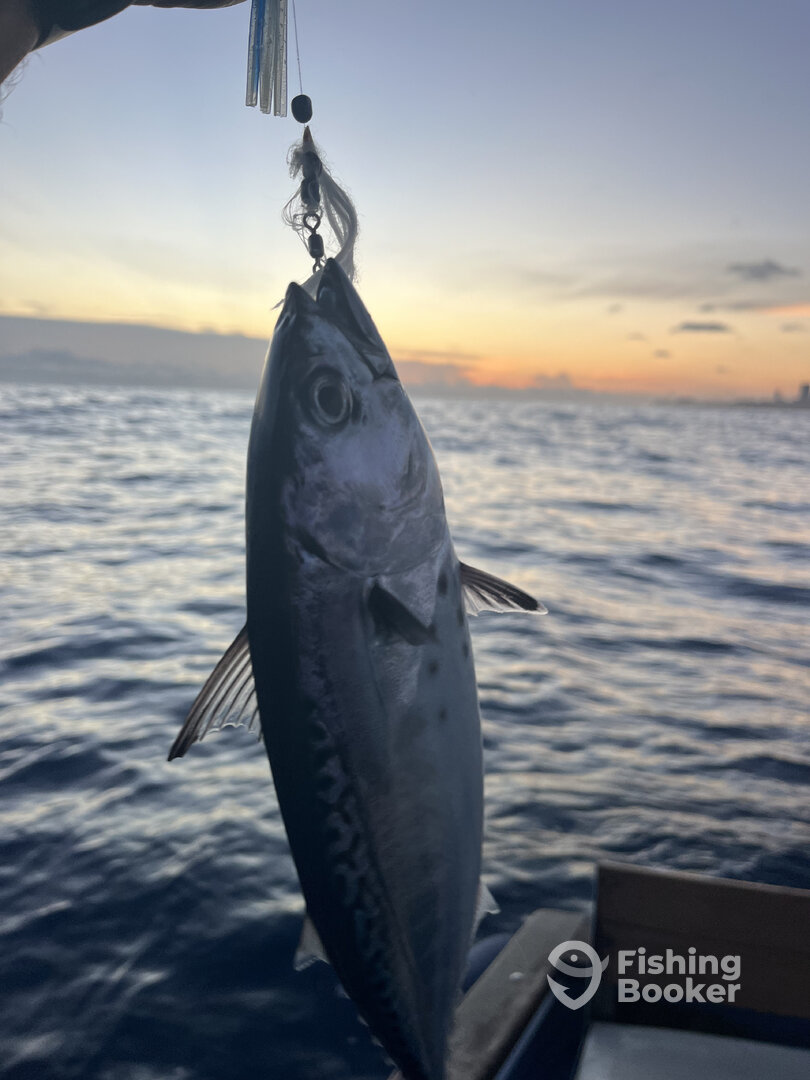 Trolling fishing