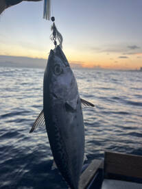 Trolling fishing