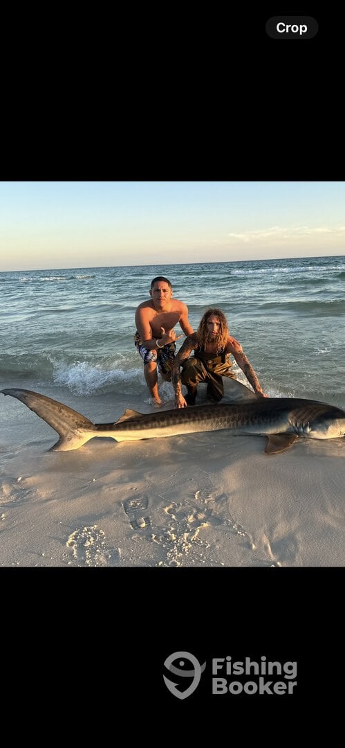 Destin Report Photo 0