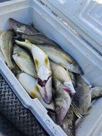 Lakeside Marblehead Report Photo 2