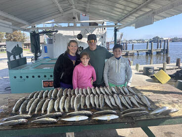 Barataria Report Photo 1