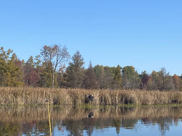 Lawton Report Photo 2