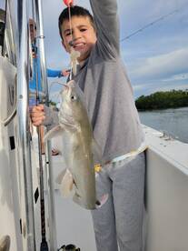 Marco Island Report Photo 1
