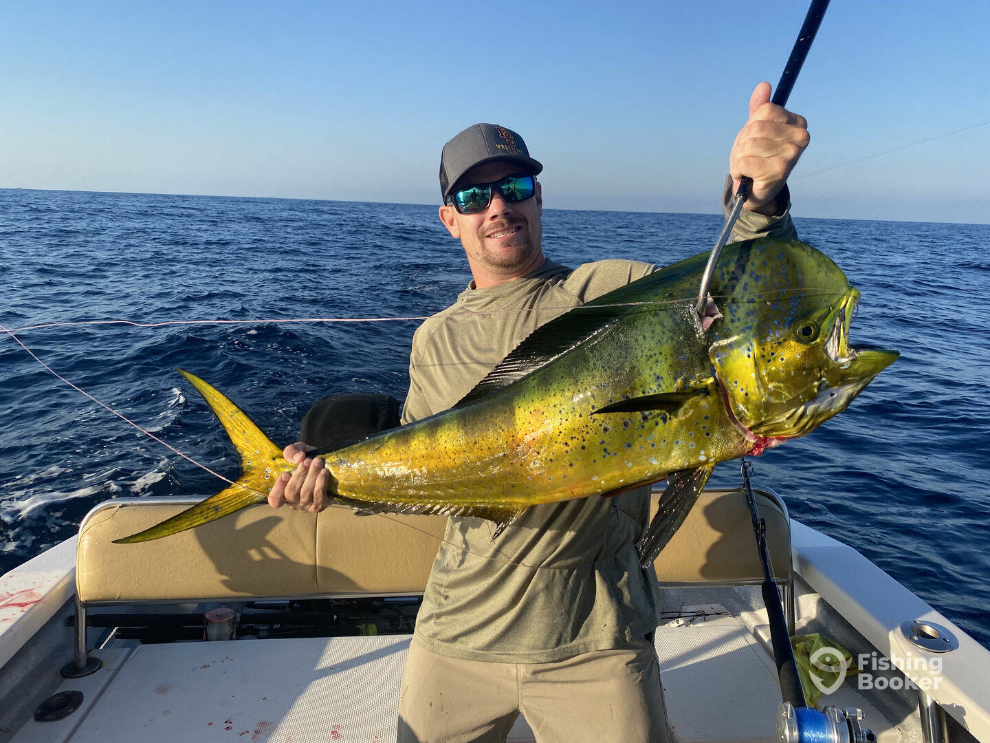 Puerto Vallarta Report Photo 0
