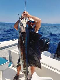 sailfish and mahi mahi on board
