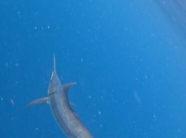 Good time to go fishing