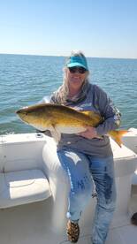 Biloxi Report Photo 2