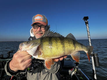 Massive autumn perch near Amsterdam