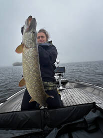 Almere Report Photo 1