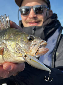 Boom Boom! Zander and Perch incoming!