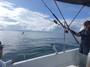 Puerto Jiménez Report Photo 1