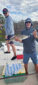 Bonita Springs Report Photo 1