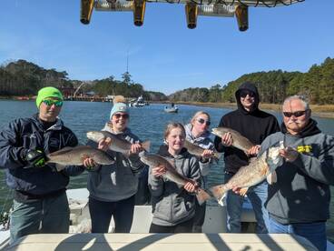 Virginia Beach Report Photo 2