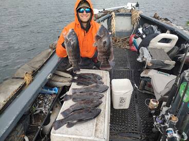 Mastic Report Photo 2