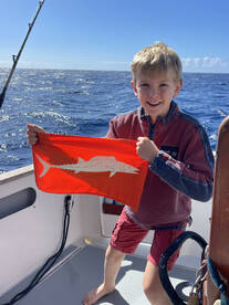 Calheta Report Photo 2