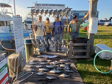 October 23 All Day  Wreck/Bottom Fishing