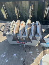 Carolina Beach Report Photo 2