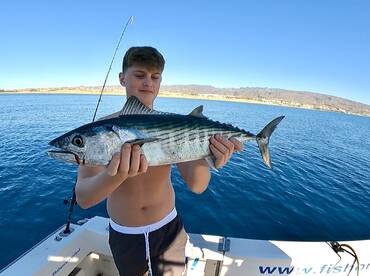 Pasito Blanco Report Photo 1