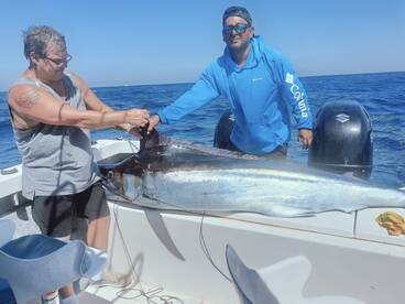 BLUE MARLIN, MAHI, MAHI, AND SAILFISH ON