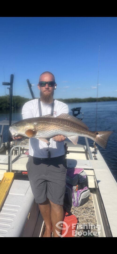 Crystal River Report Photo 0