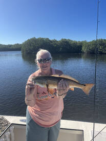 Crystal River Report Photo 2