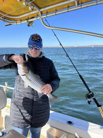 November Stripers