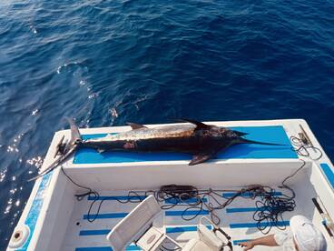 BIG MARLIN
