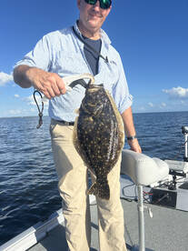 Panacea Report Photo 1