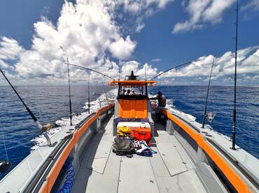 Eden Island Report Photo 4