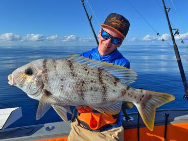 Eden Island Report Photo 3