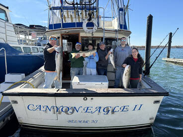 Belmar Report Photo 2